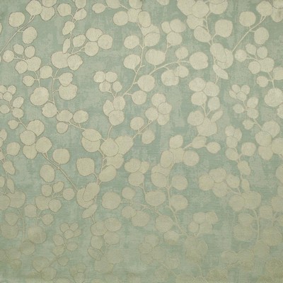 Kasmir POSITIVITY       ZEN             