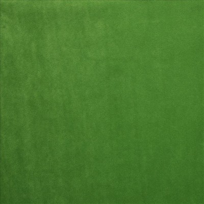 Kasmir PRELUDE          LEAF            