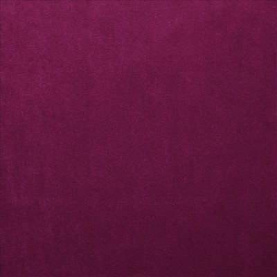 Kasmir PRELUDE          MAGENTA         