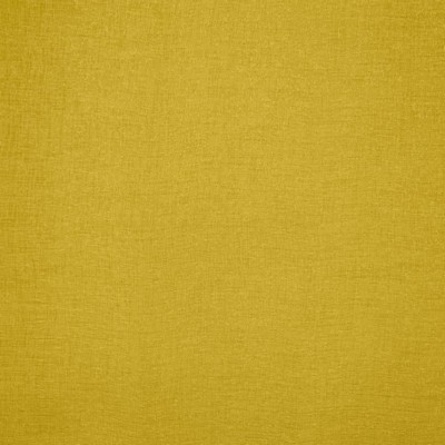Kasmir PRISMA           YELLOW          