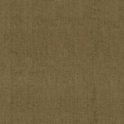 Kasmir QUARRY           FAWN            