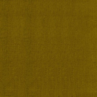 Kasmir QUARRY           HONEY           