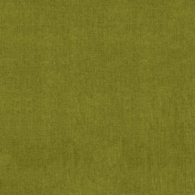 Kasmir QUARRY           NEW BUD         