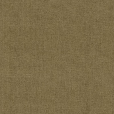 Kasmir QUARRY           OYSTER          