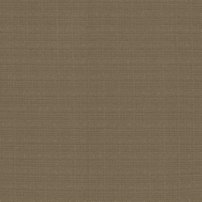 Kasmir RESILIENT        DOLPHIN         