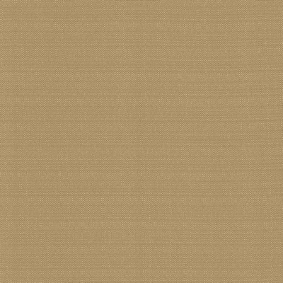 Kasmir RESILIENT        MOUSE           