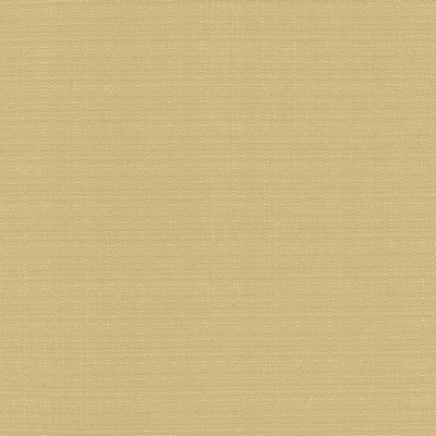 Kasmir RESILIENT        RICEPAPER       