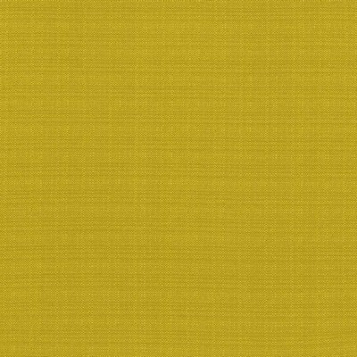 Kasmir RESILIENT        WHEATGRASS      