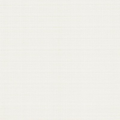 Kasmir RESILIENT        WHITE           