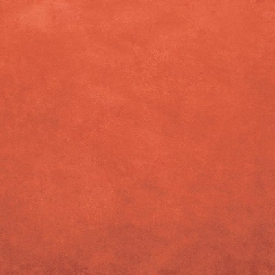 Kasmir RETROSPECTIVE    ORANGE          