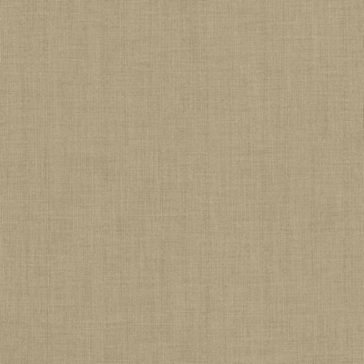 Kasmir ROBUST           DOVE            