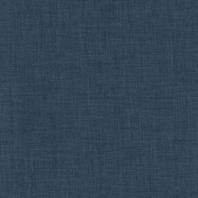 Kasmir ROBUST           INDIGO          