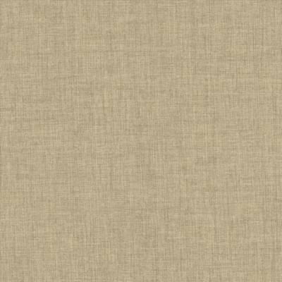 Kasmir ROBUST           MOON            