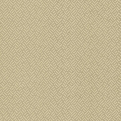 Kasmir Rockweave DOVE            