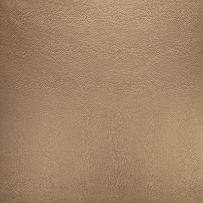 Kasmir ROYCE            CHAMPAGNE       