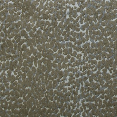 Kasmir SABOYA           STONE           