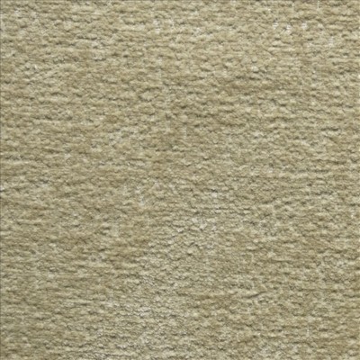 Kasmir SATSUMA          CAMEL           