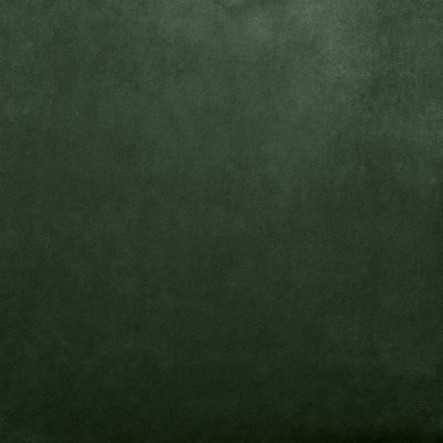 Kasmir SAVOR            MOSS            