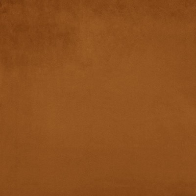 Kasmir SAVOR            SIENNA          