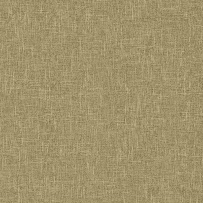 Kasmir SCOPE            HUSK            