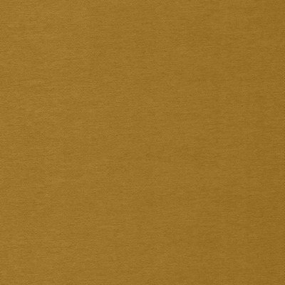 Kasmir SHEENA           SAFFRON         