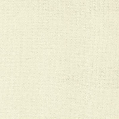 Kasmir SNUG             SNOW            