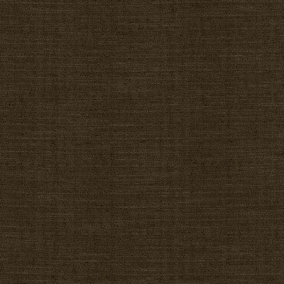 Kasmir Sotto CHOCOLATE       