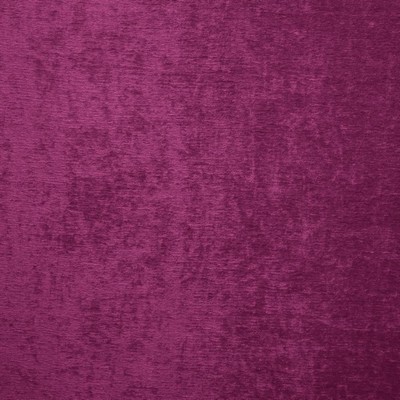Kasmir SPLENDID         MAGENTA         