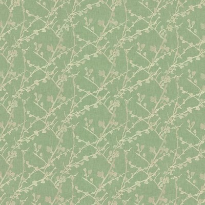 Kasmir SUKI             AQUA            