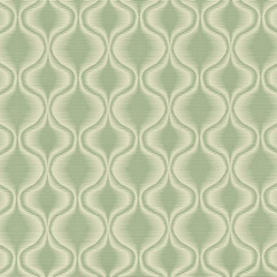 Kasmir Tarsus CACTUS          