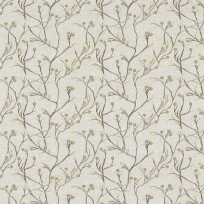 Kasmir Terrarium SHADOW          