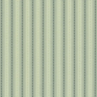 Kasmir THE STRIP        GLACIER         