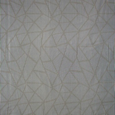 Kasmir TRANSFORMATION   MINK            