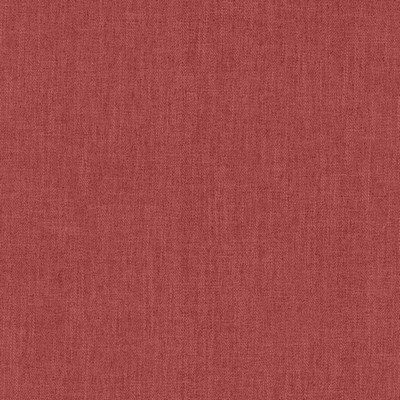 Kasmir TUNDRA           AZALEA          