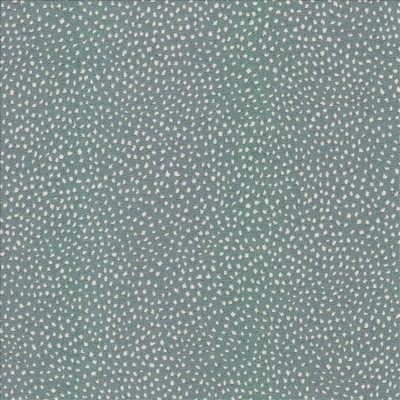 Kasmir TWILIGHT         CLOUD           