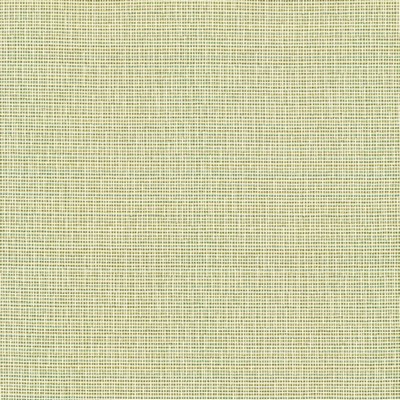 Kasmir UNITY            SPRING          