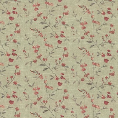 Kasmir UPSTAGE          REEF            