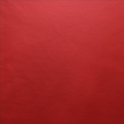 Kasmir VANDEN           CARMINE         