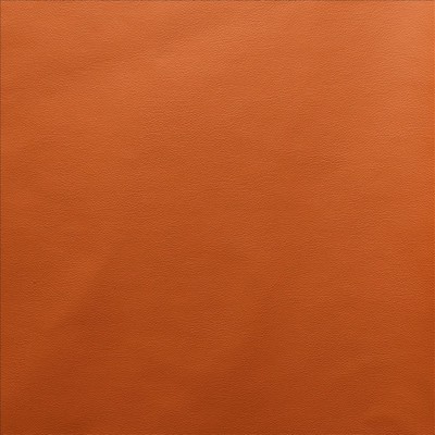 Kasmir VANDEN           CARROT          