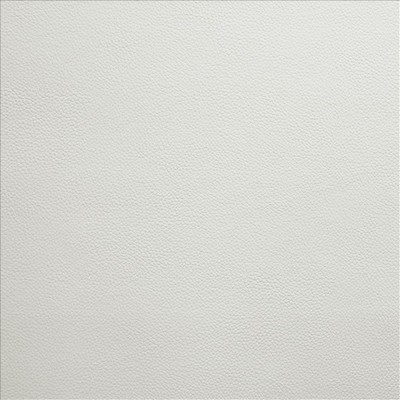 Kasmir VANDEN           CLOUD           