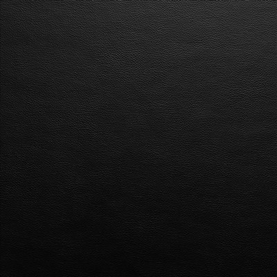 Kasmir VANDEN           COAL            