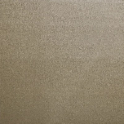 Kasmir VANDEN           ECRU            