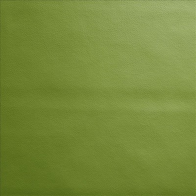 Kasmir VANDEN           FERN            