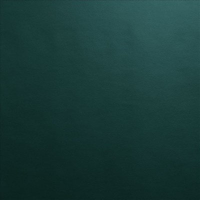 Kasmir VANDEN           FOREST          