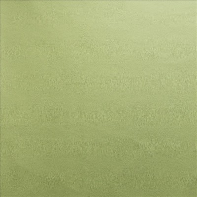 Kasmir VANDEN           MEADOW          