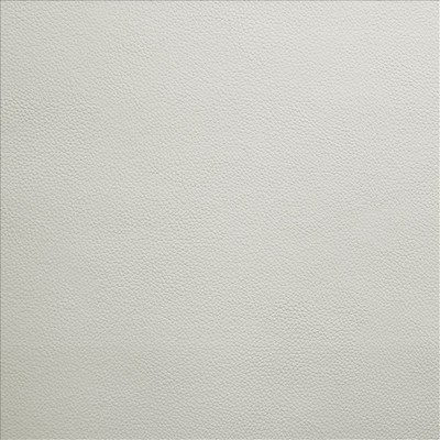 Kasmir VANDEN           NAVAJO          