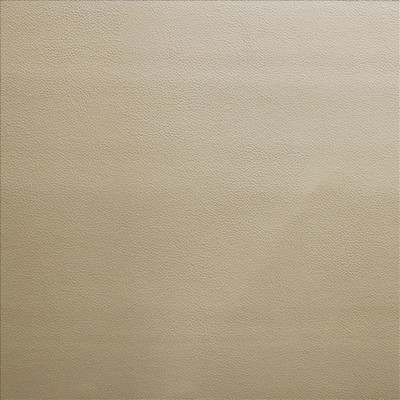 Kasmir VANDEN           SEPIA           