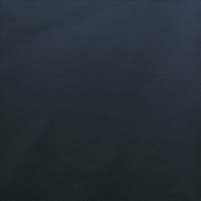 Kasmir VANDEN           SPACE           