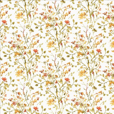 Kasmir WINNIE           HONEYSUCKLE     