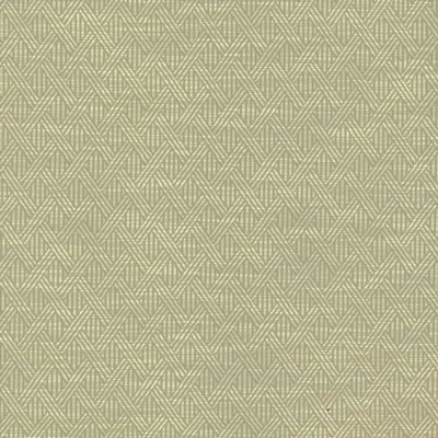 Kasmir WOVEN            DOVE            